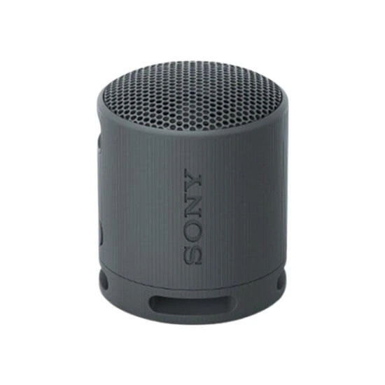 Sony SRS-XB100 Wireless Speaker Black | დინამიკები