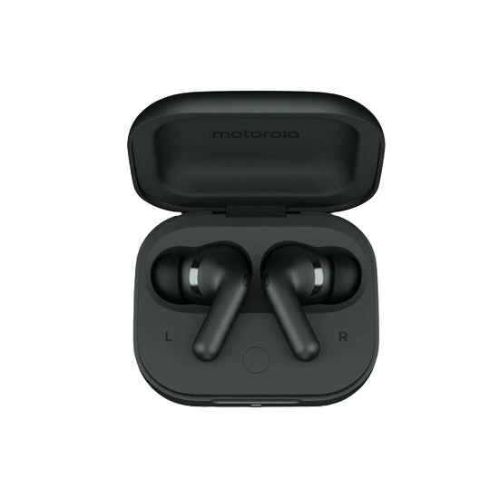 Motorola Moto Buds+ Darkest Spruce | ყურსასმენი